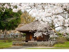 夏の菅平高原〈日月宙）にて