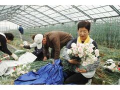 �͒Á@���_�{�����e�B�A�c�A�[�̎ʐ^1