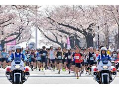 ���������烍�[�h���[�X�̎ʐ^1