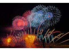 ���r���e�B���]�[�g���Ă��@New Year HANABI�̎ʐ^1