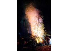 ��g���̃h���h�Ă̎ʐ^1