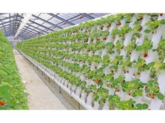 �}�U�[�q��u���������v�̎ʐ^1