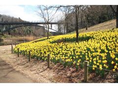 ӂȂ΂AfZ̃XCZJԂ̎ʐ^1