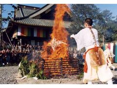 [ߕsA[ߎDグē얀̎ʐ^1