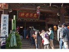 �G�i���J�S�q��_�@���w�̎ʐ^1