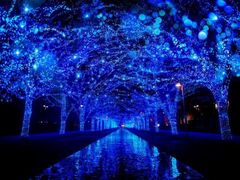 w̓A SHIBUYAx̎ʐ^1