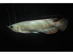 ���̂����̂������̎ʐ^1