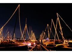 ]̓bgn[o[NX}XC~l[V2025̎ʐ^1