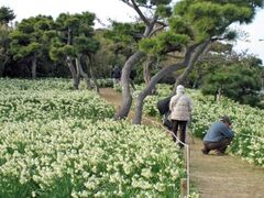 _ސ쌧郖̃XCZ̎ʐ^1