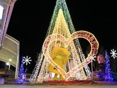 XmasC~l[Vinɂ炳̎ʐ^1