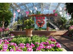 ���t�̃e�[�}�W���u�t�����[�E�o�����^�C���v�̎ʐ^1