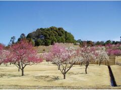 ͂܂܂t[cp[NV@~܂̎ʐ^1