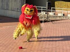 ���g�����[���h ���E�̂������̎ʐ^1