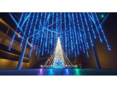 EB^[C~l[V in c 2025̎ʐ^1