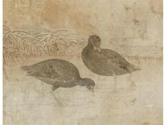 ả̉Ԓ`q@rl̊ԁE̊ԁ`̎ʐ^1