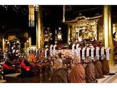 �m���@�@�C����̎ʐ^1