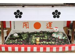 �t�ڂ���W�̎ʐ^1