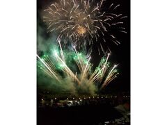 �v���čՂ胊�o�[�T�C�h�t�F�X�e�B�o���̎ʐ^1