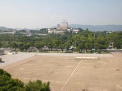 �Ђ߂��΂����̎ʐ^1