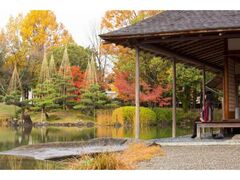 �{�_�ْ뉀���C�g�A�b�v�̎ʐ^1