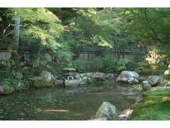 �����������E���@�@�@�t�̓��ʔq�ς̎ʐ^1