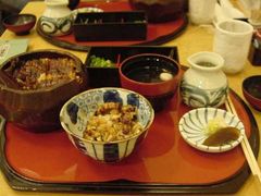 WrIRR̂H@_{Xւ̓eʐ^1