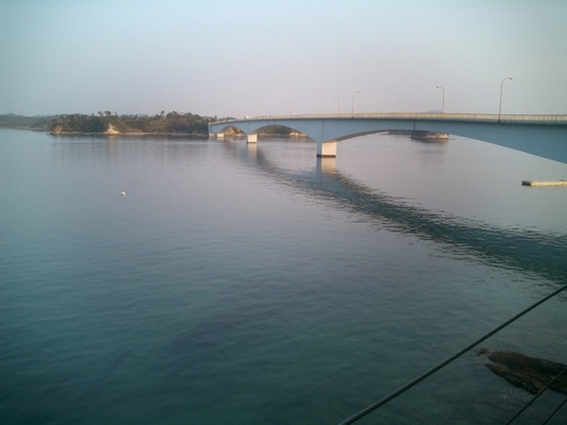 �V���܋��i�p�[�����C���j