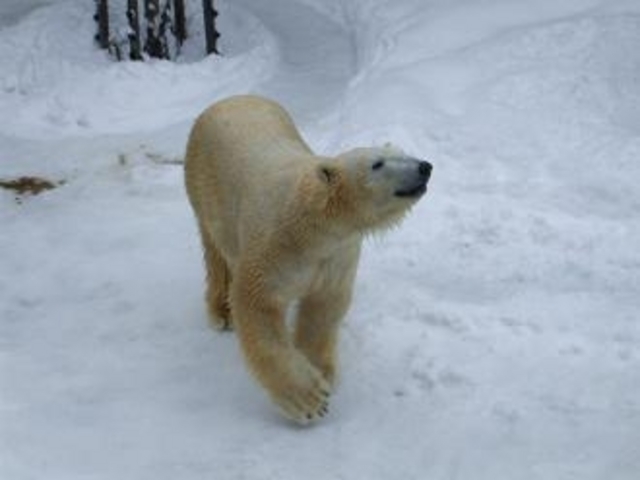 ���R������