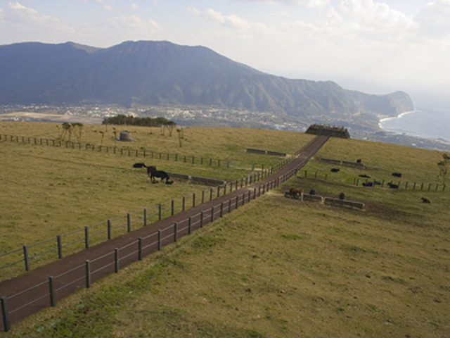 �ӂꂠ���q��W�]��