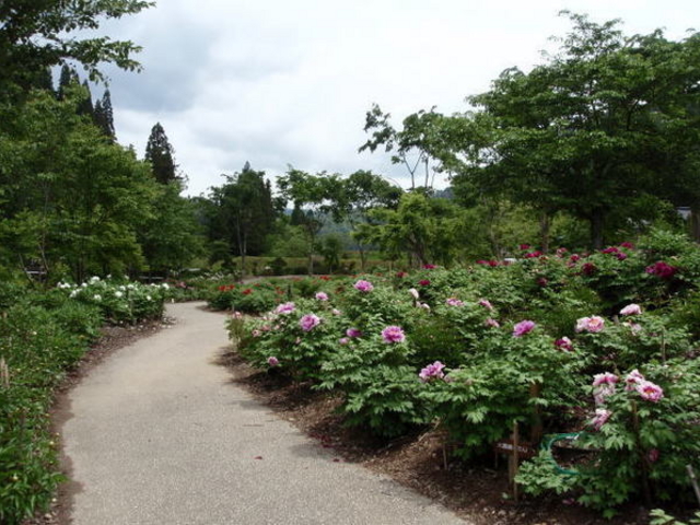 [~̌Í`̗tB[h~[WA̓eʐ^1