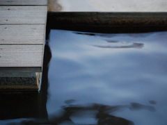 takâЂ܂艷@EEւ̓eʐ^1