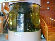 񂿂񂳂̂ۂۃ}̓eʐ^1