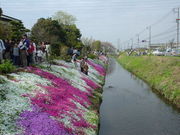 jun̏ac͔Ȏō̓eʐ^1