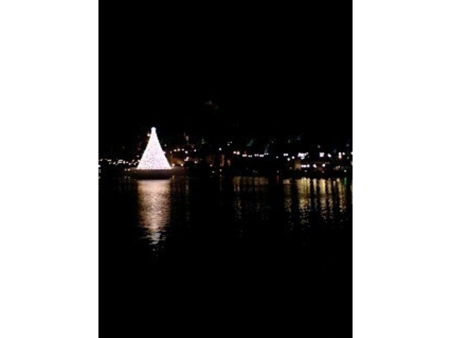 �����f�B�Y�j�[�V�[(R)