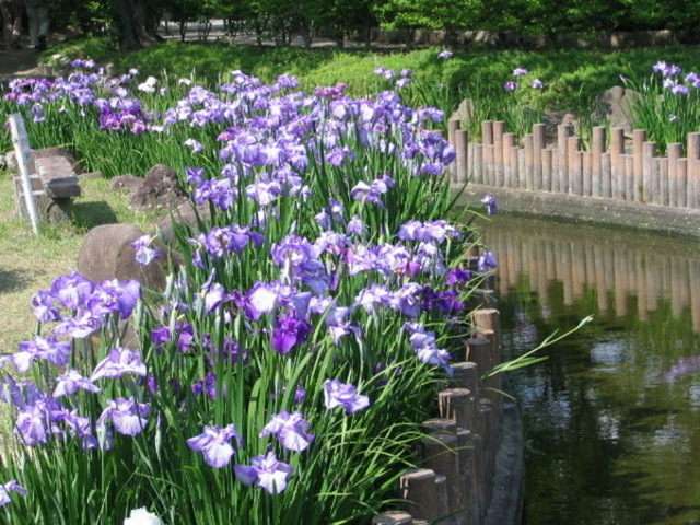 {ԉ@zeʔV̂ߌE基̉ԏҊ̓eʐ^1