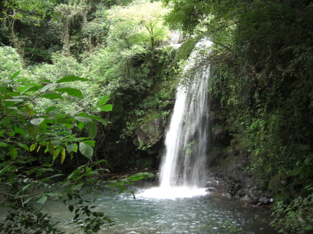 ĂĂ񂳂̈Ȃ̓eʐ^1