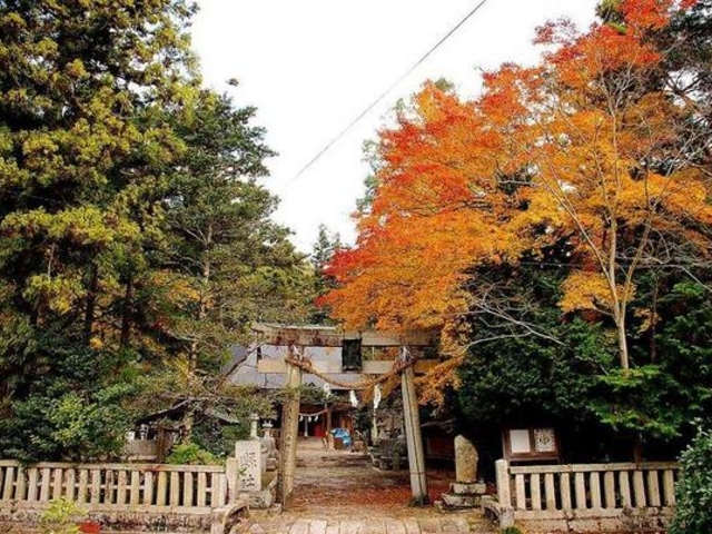 �e���˒q����̏o�_�_�Ѓc���}�������E�����n�̓��e�ʐ^1