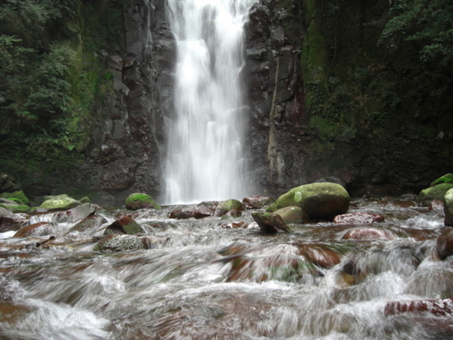 �Ă�Ă񂳂�̌˃m���̑�̓��e�ʐ^1