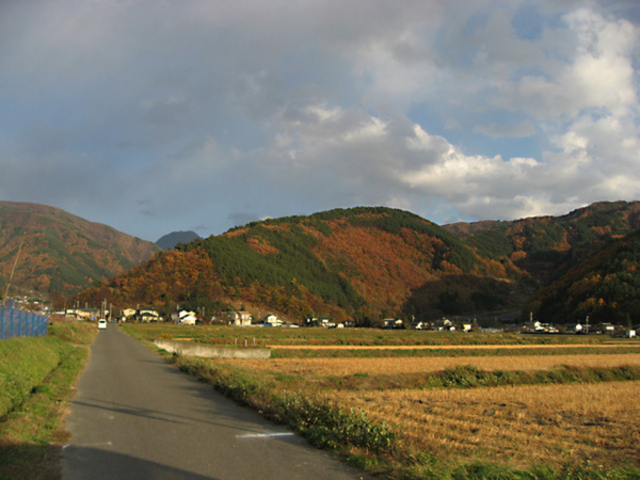 {ԉ@zeʔV̗я隬̓eʐ^1