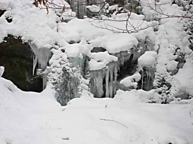 ���{��ԉ���@�z�e���ʔV������̕s���̑�̓��e�ʐ^1