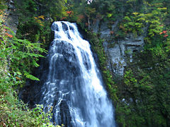 {ԉ@zeʔV̔ԏւ̓eʐ^1