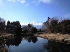 W[̔EtBbVOGAւ̓eʐ^1