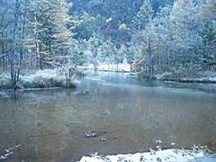 {ԉ@zeʔV̓crւ̓eʐ^1