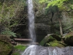 toki����̏��㉷��ւ̓��e�ʐ^1