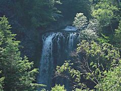 {ԉ@zeʔV̑PܘY̑ւ̓eʐ^1