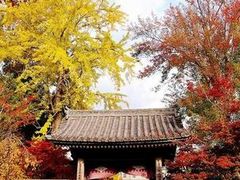 龍福寺(大内氏館跡)】アクセス・営業時間・料金情報 - じゃらんnet 龍福寺(大内氏館跡)】アクセス・営業時間・料金情報 - じゃらんnet