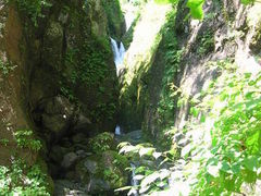 toki����̏��㉷��ւ̓��e�ʐ^1