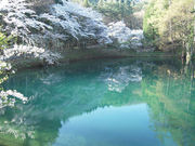 {ԉ@zeʔV̕oՂ̓eʐ^1