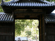 񂿂񂳂̈{_Ђ̓eʐ^1