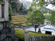 񂿂񂳂̕ʎqRLOق̓eʐ^1